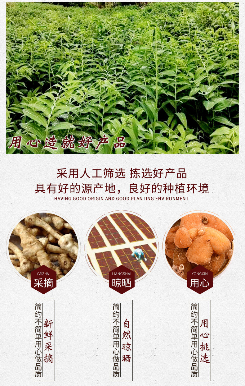 黄精 供应质肉头黄精 九华山油头黄精 多花甜 黄精片 黄精个