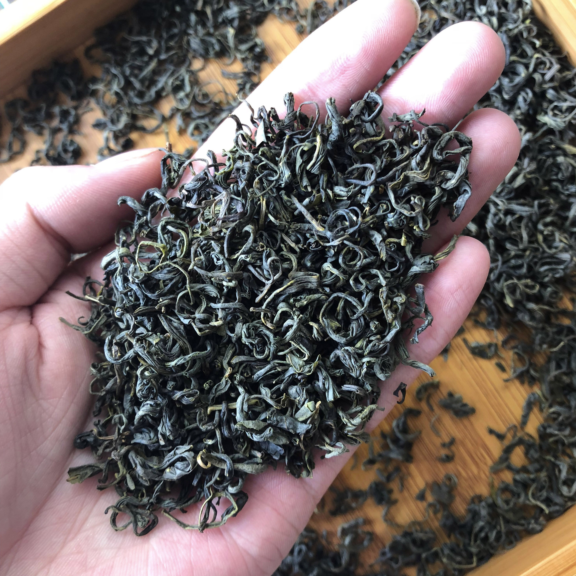 浙江绿茶 原产地土茶 松阳土茶 香茶 茶叶批发