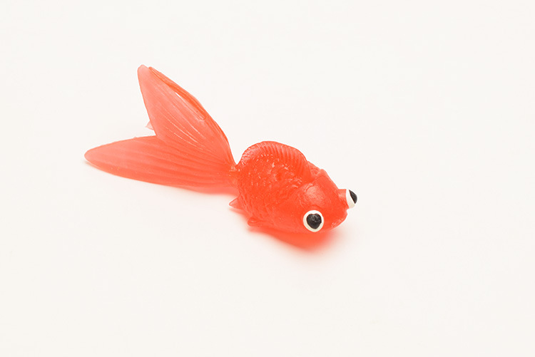 软胶仿真金鱼 半透明环保软胶tpr 海洋动物儿童捞鱼玩具厂家批发