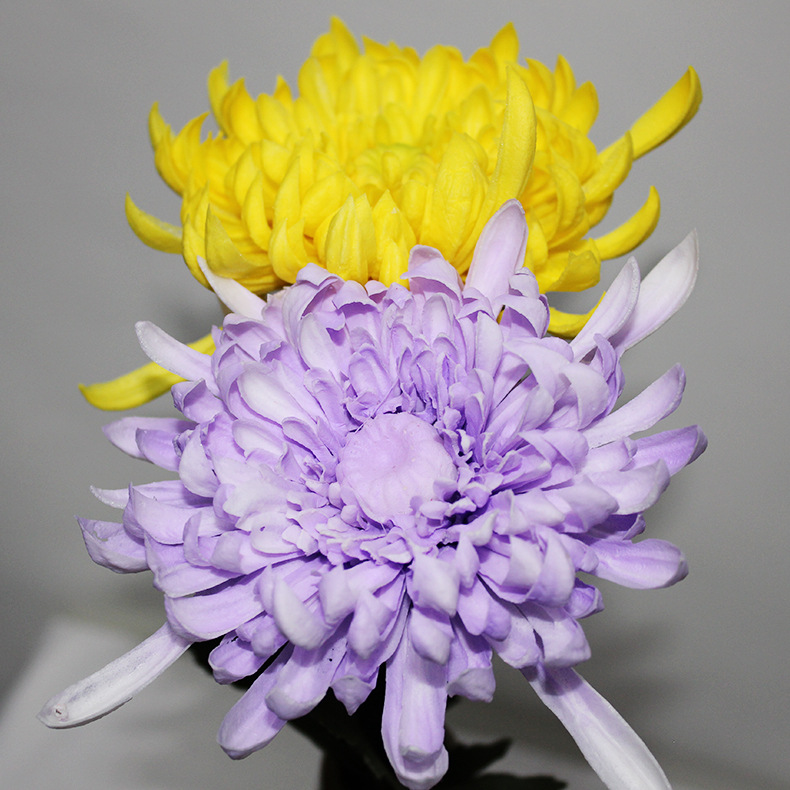 北欧风细直双瓣翠菊仿真花装饰假花工艺品家居保湿感仿真花朵批发