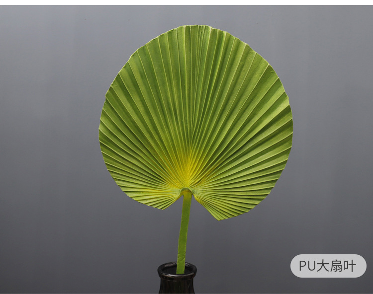 仿真扇葵叶 室内装饰仿真叶子植物 棕榈树叶子 大扇叶 蒲葵叶子