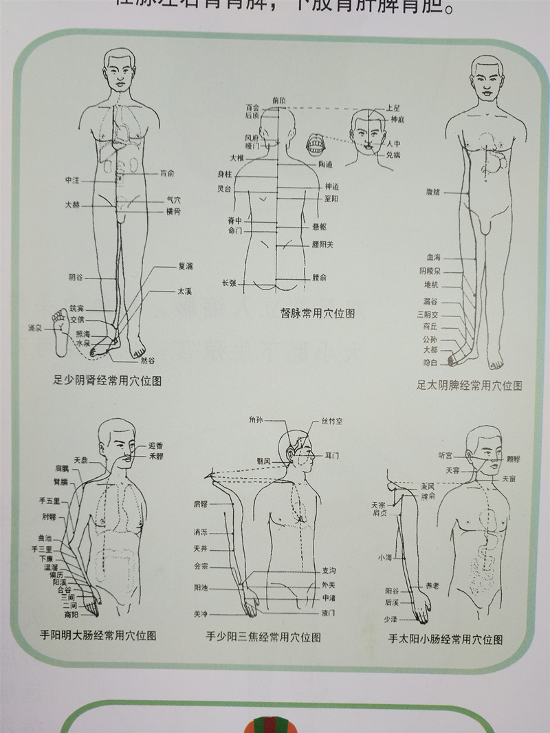 刮痧对照表 图解图片