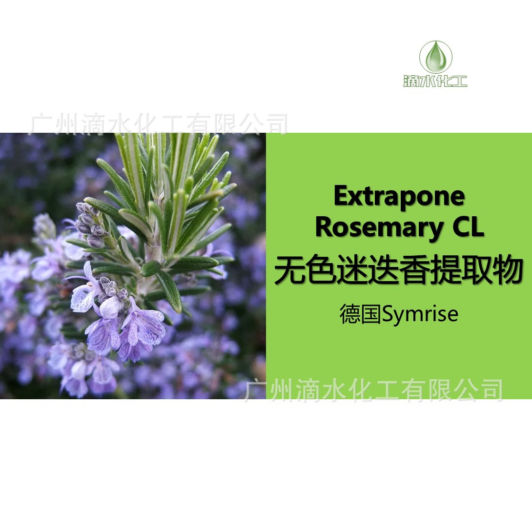 无色迷迭香提取物 德之馨 高浓度提取液 有香气 迷迭香精华液