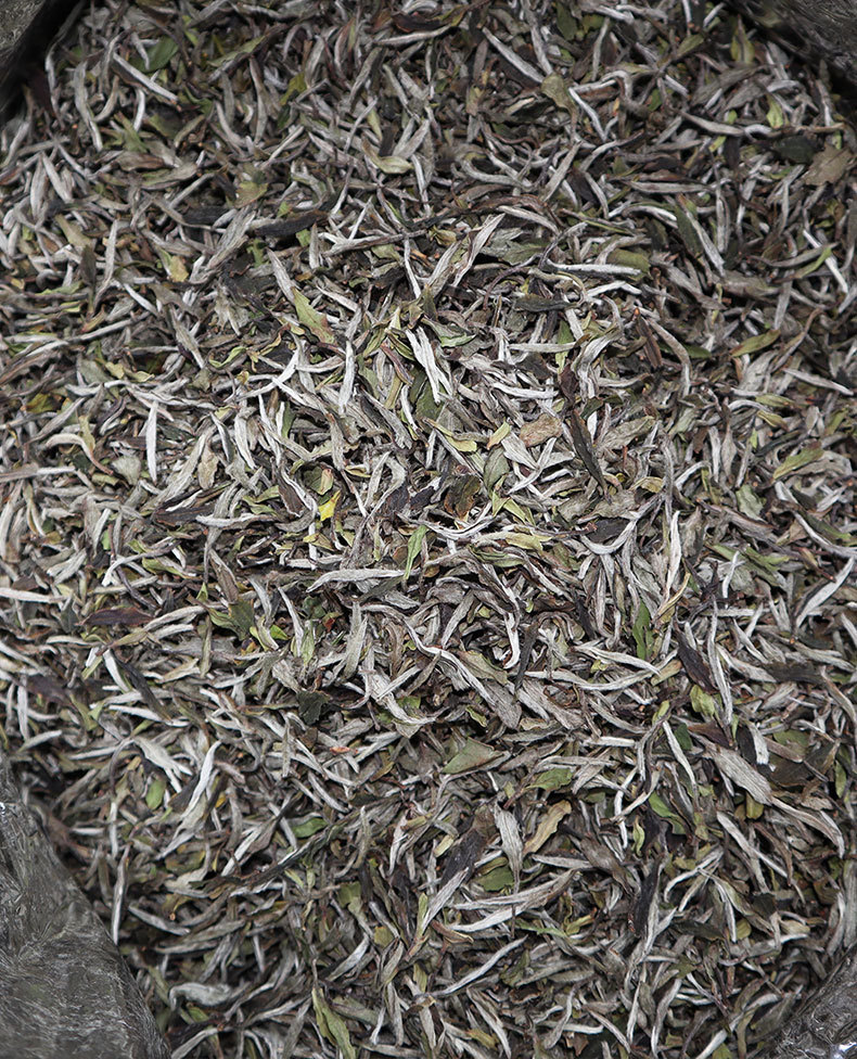 2015年福鼎白茶白牡丹王老牡丹毫香蜜韵冰糖甜磻溪白茶叶散茶批发