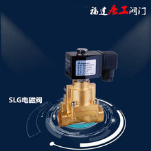 三力信高压电磁阀sanlixin不锈钢高压电磁阀铜电磁阀SLG-81.21.5