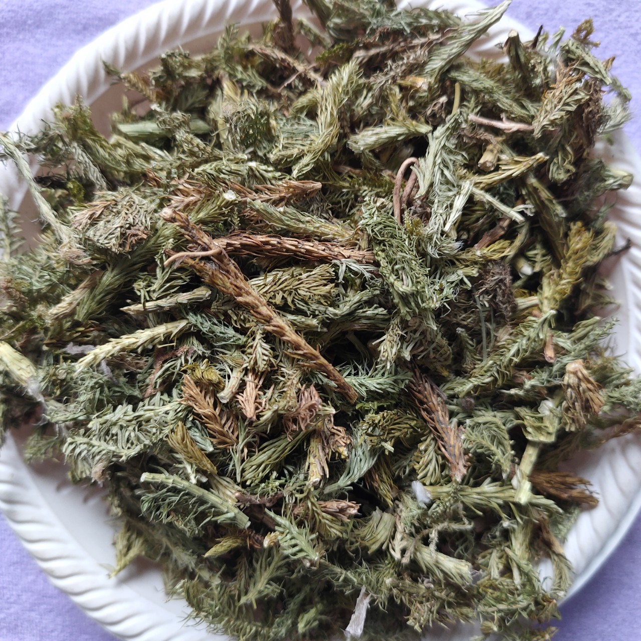 批发中药材伸筋草舒筋草大伸筋承接订单量大从优-阿里巴巴