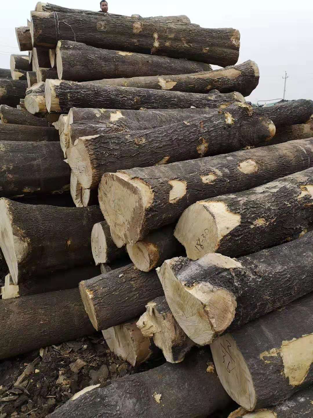 0成交5立方米河南红椿木烘干板材热压整平椿木板材国产白蜡花纹粗矿