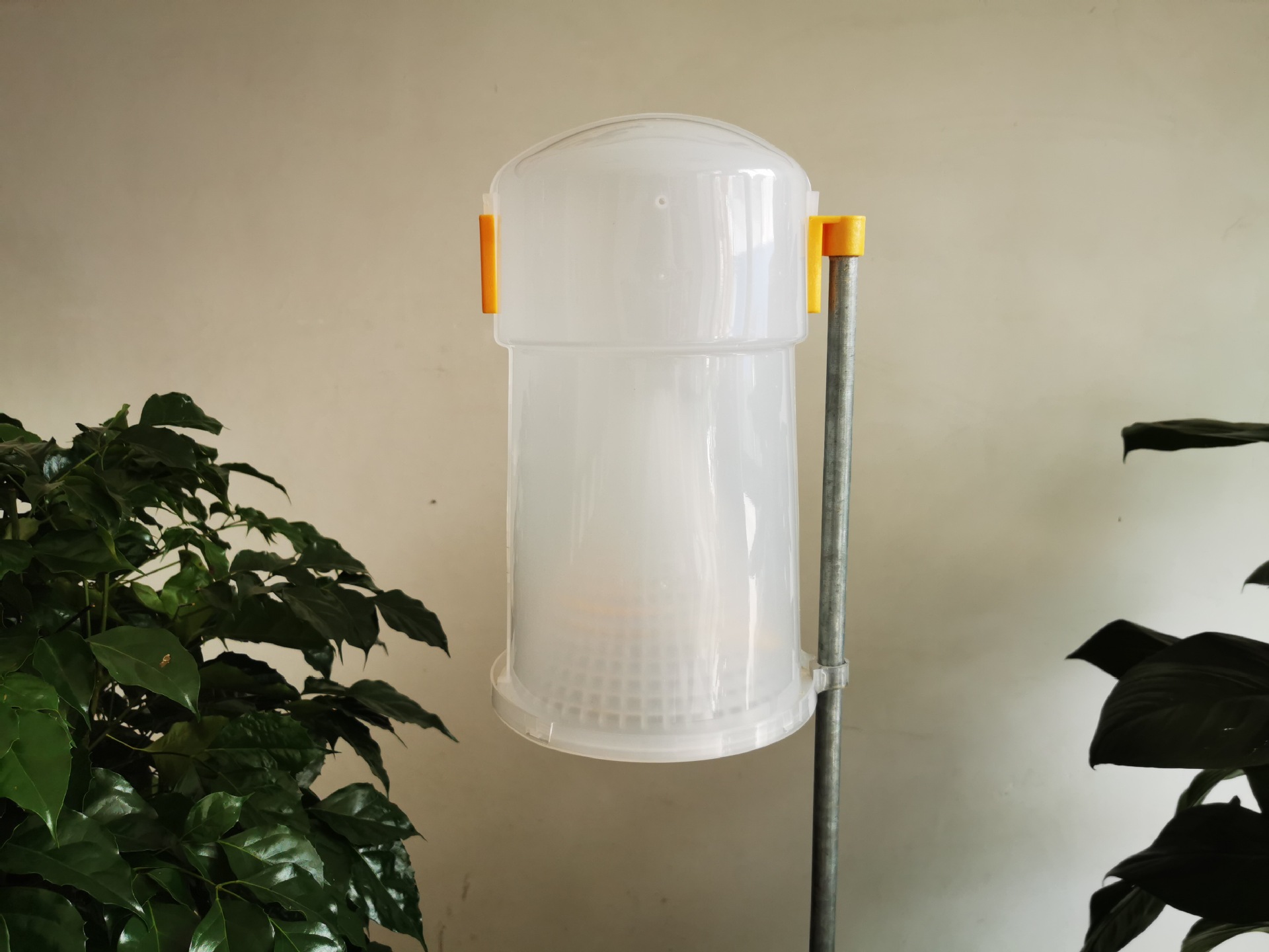 神捕诱捕器昆虫信息素二化螟诱心捕蝇笼飞蛾户外畜牧养殖