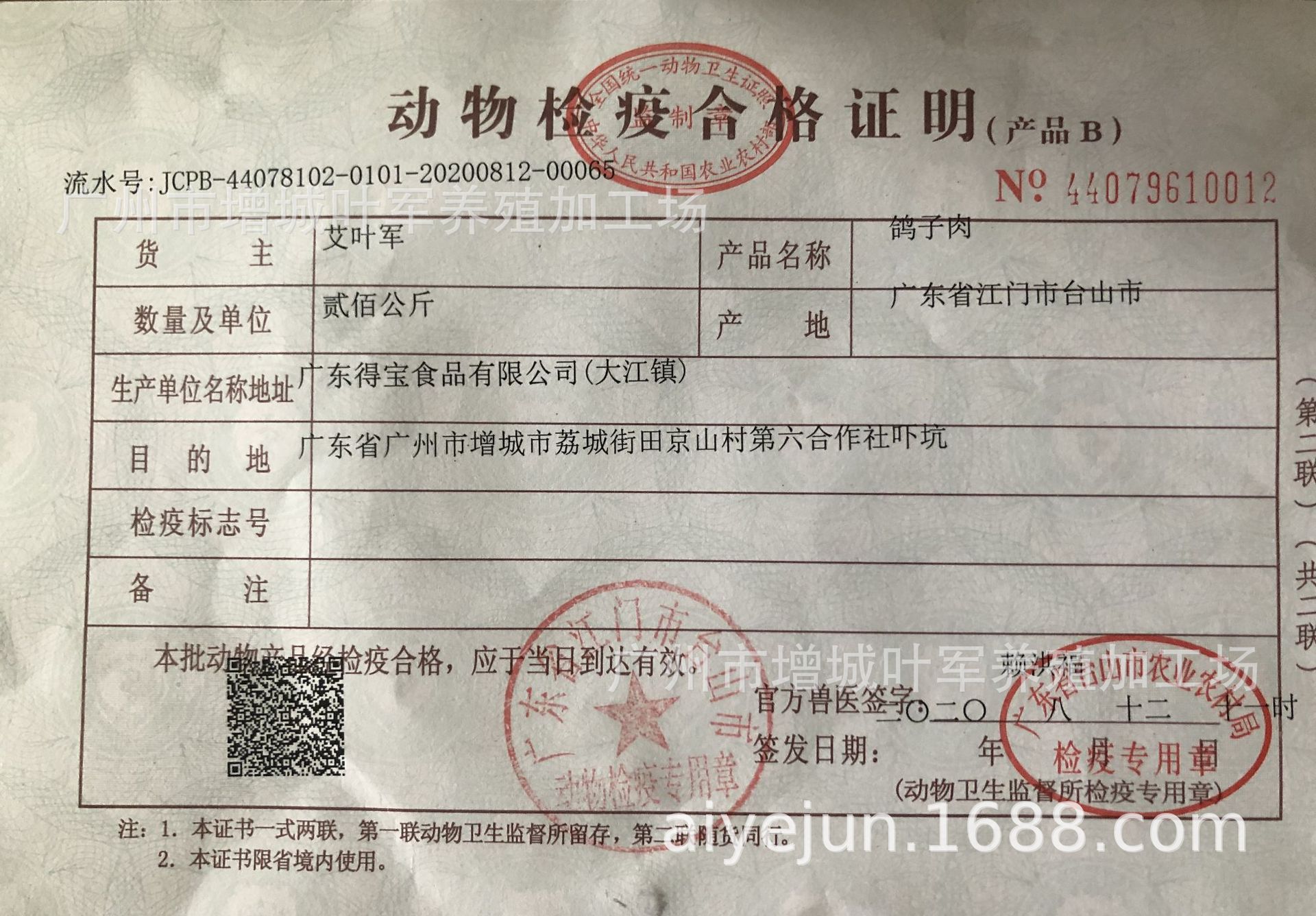 优质冰鲜乳鸽,肉鸽,鸽子(净膛6-7两,300g-350g)