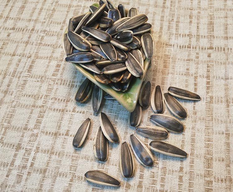 内蒙古特产胖娃娃原味瓜子铁锅炒坊1000g袋装363葵花籽坚果零食