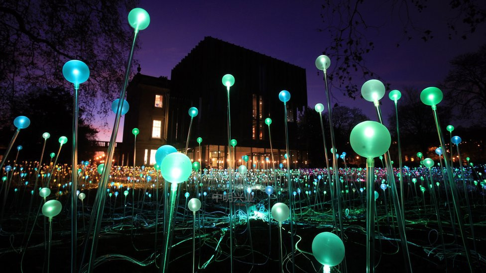 户外草坪七彩变色光纤闪点芦苇灯 led景观光纤球泡灯 塑料光纤灯