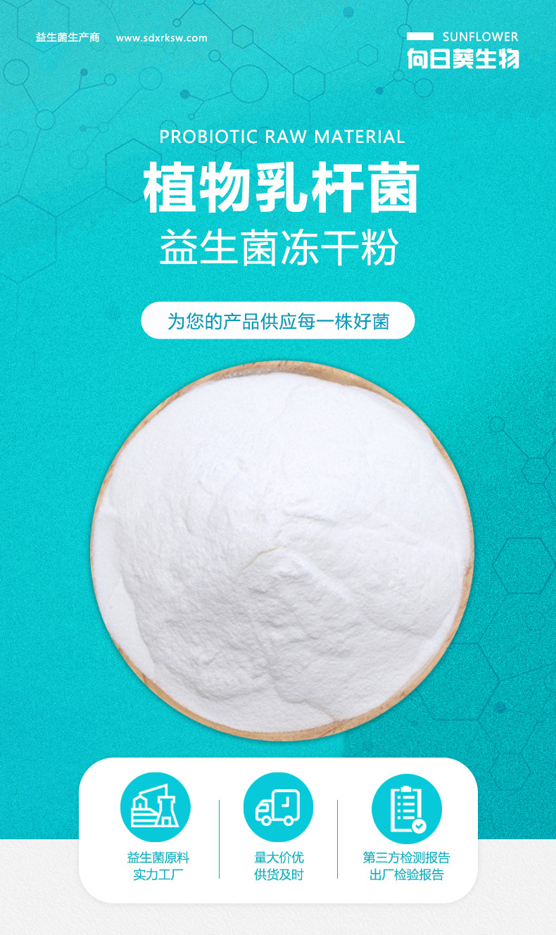 植物乳杆菌活菌型益生菌冻干粉食品级益生菌源头厂家现货直供