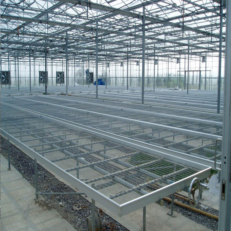 智能温室 全自动智能玻璃大棚 蔬菜玻璃大棚 玻璃温室大棚设计