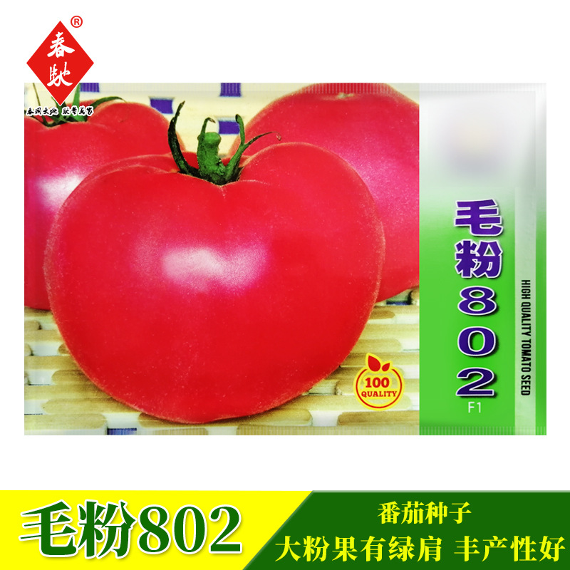 毛粉802番茄种子 1300粒 杂交粉果西红柿籽 沙瓤农田菜园蔬菜种籽