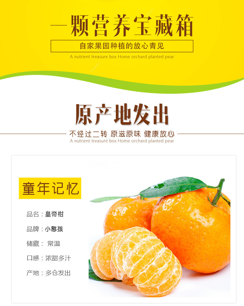 湖南椪柑碰新鲜水果10斤批发包邮橘子当季现贡橘柑桔子蜜桔皮薄