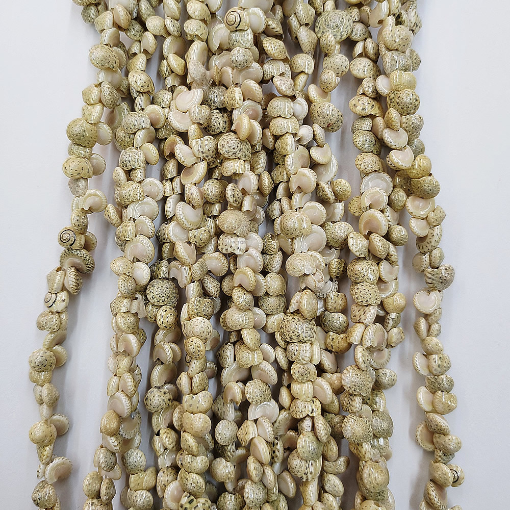 天然海螺贝壳珠子 猫眼螺沙米螺海螺 手工diy手链项链饰品配件