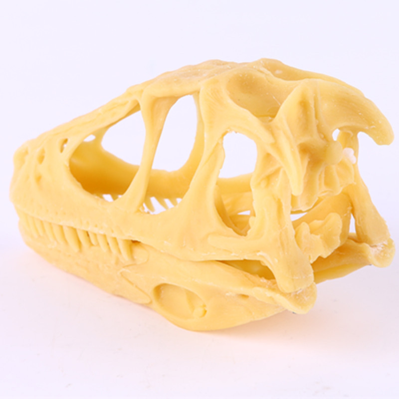 低价盗龙头骨模型伶盗龙头骨模型恐龙头骨模型骷髅头树脂骷髅头