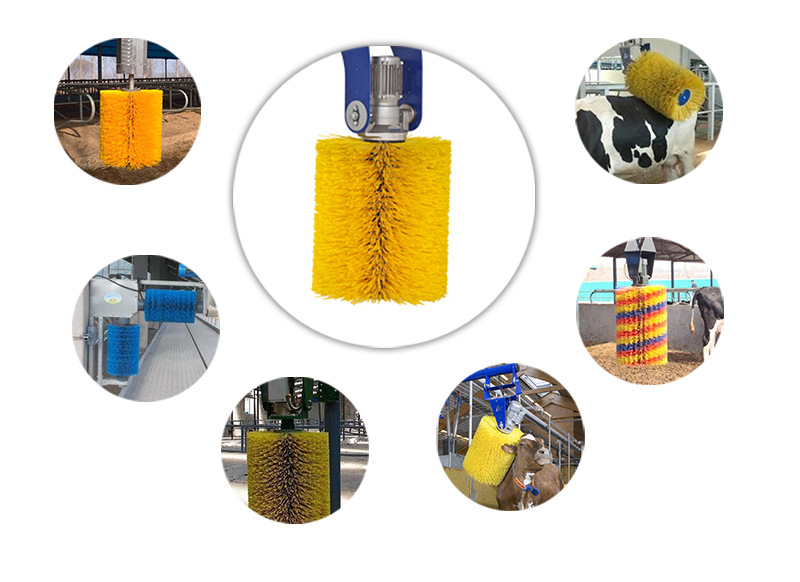 供应全自动旋转奶牛体刷 奶牛清洗刷辊 养牛场牛体刷 全自动毛刷