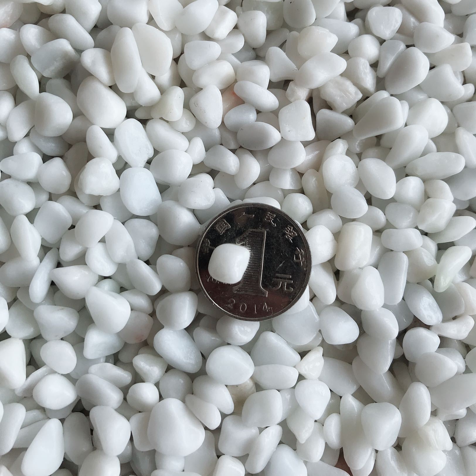 天然白石子鹅卵石多肉铺面雨花石抛光花盆装饰白色石头小白石砾石