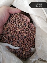当季新货麻豌豆白豌豆黄豌豆可发芽五谷杂粮原料现货一件代发