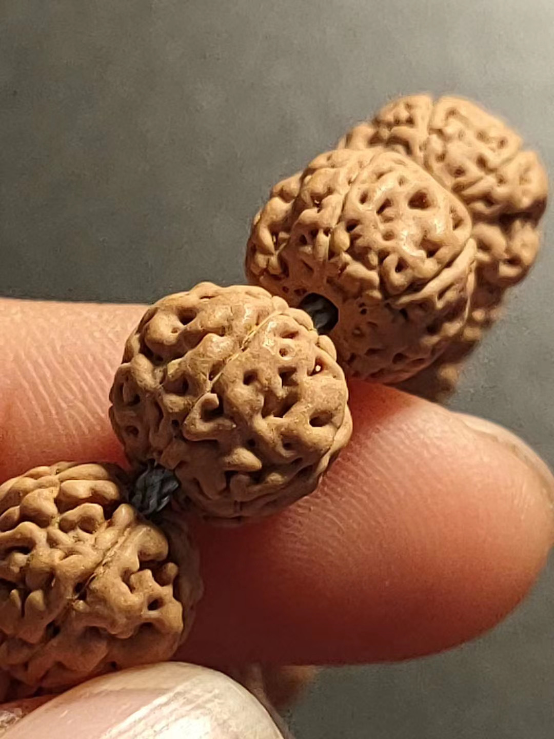 五瓣蜂窝双龙小金刚108长串(货号59)