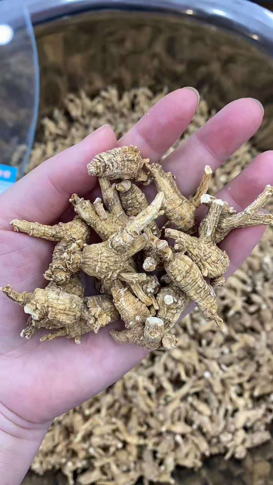 产地批发纯美种尖尾花旗参西洋参原产批发美种花旗参尖尾