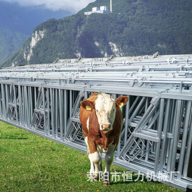 厂家直销热镀锌牛颈枷 奶牛养殖场设备 牛颈伽 奶牛定位栏安装