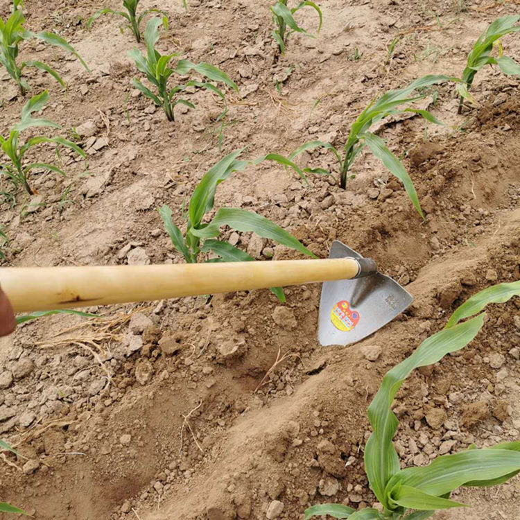 三角锄头镐头开沟起垄翻土工具 园艺种植尖锄工地抛沟锄 锰钢淬火
