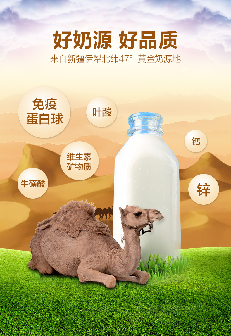 新疆伊犁奶源多维骆驼奶粉300g骆驼奶粉儿童青少年成人含钙驼乳粉