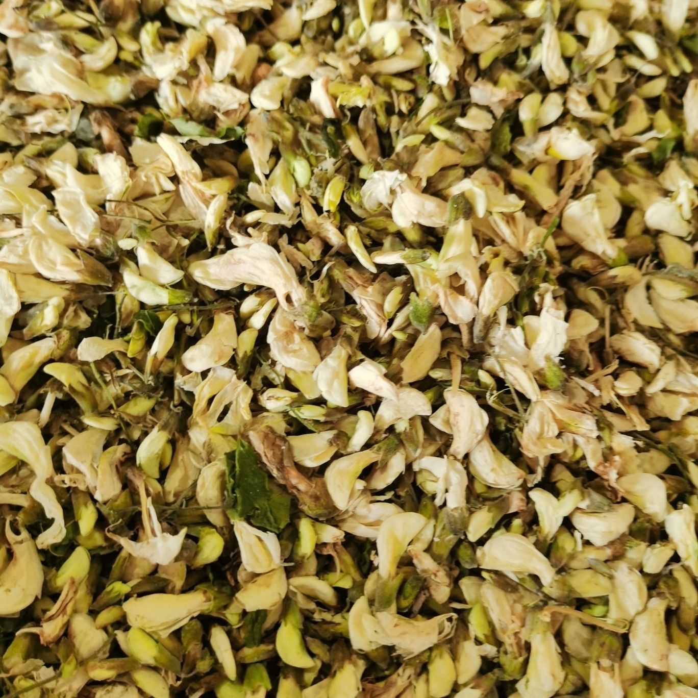 干洋槐花杨槐花茶刺杨树花包邮干槐花苞晒干新货泡水做菜包子