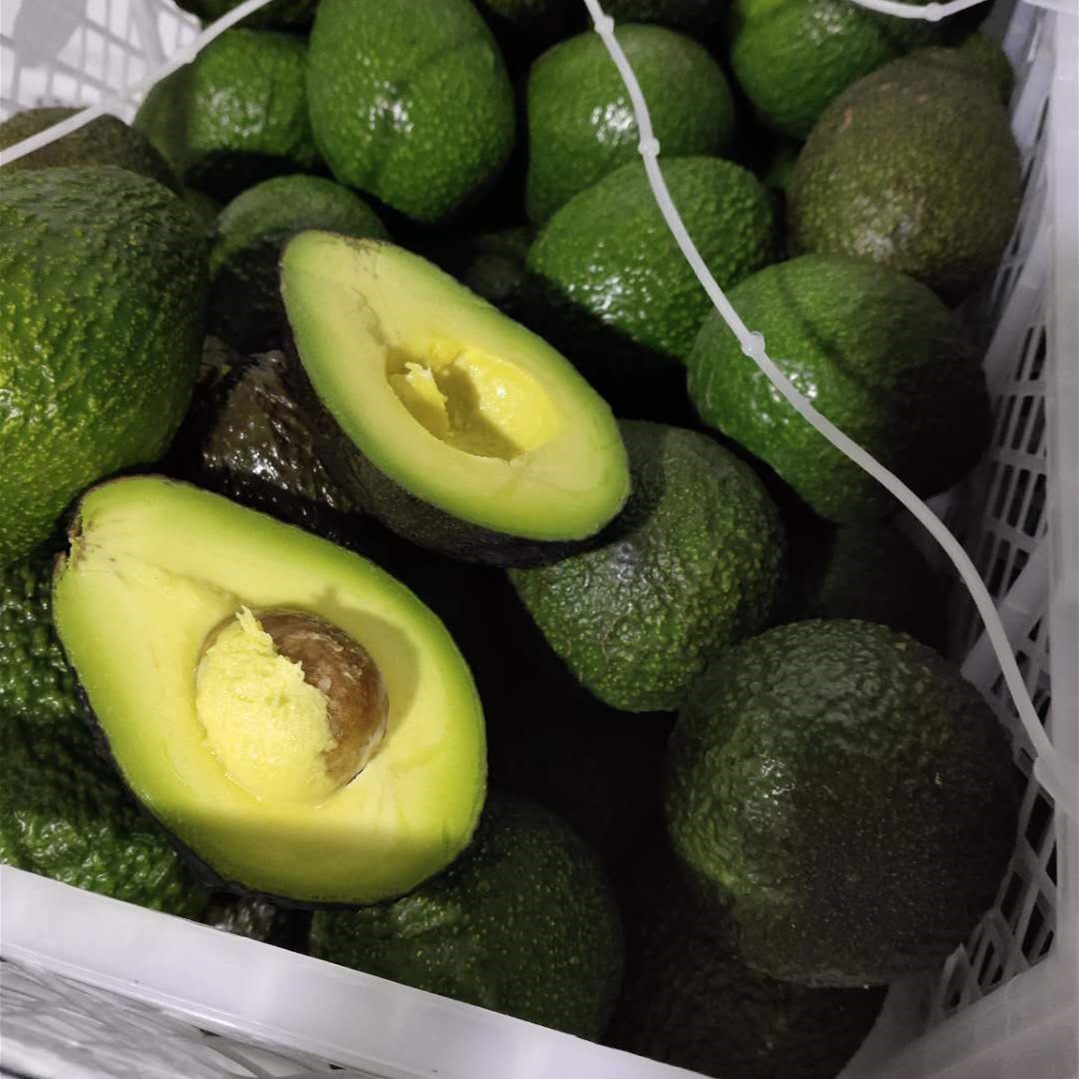 牛油果墨西哥牛油果大果10颗装宝宝辅食鳄梨新鲜水果批发代发
