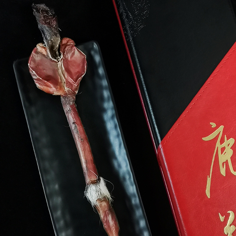 东北吉林花鹿鹿鞭整枝干鹿鞭泡酒料煲料男性泡酒煲汤滋补送礼盒