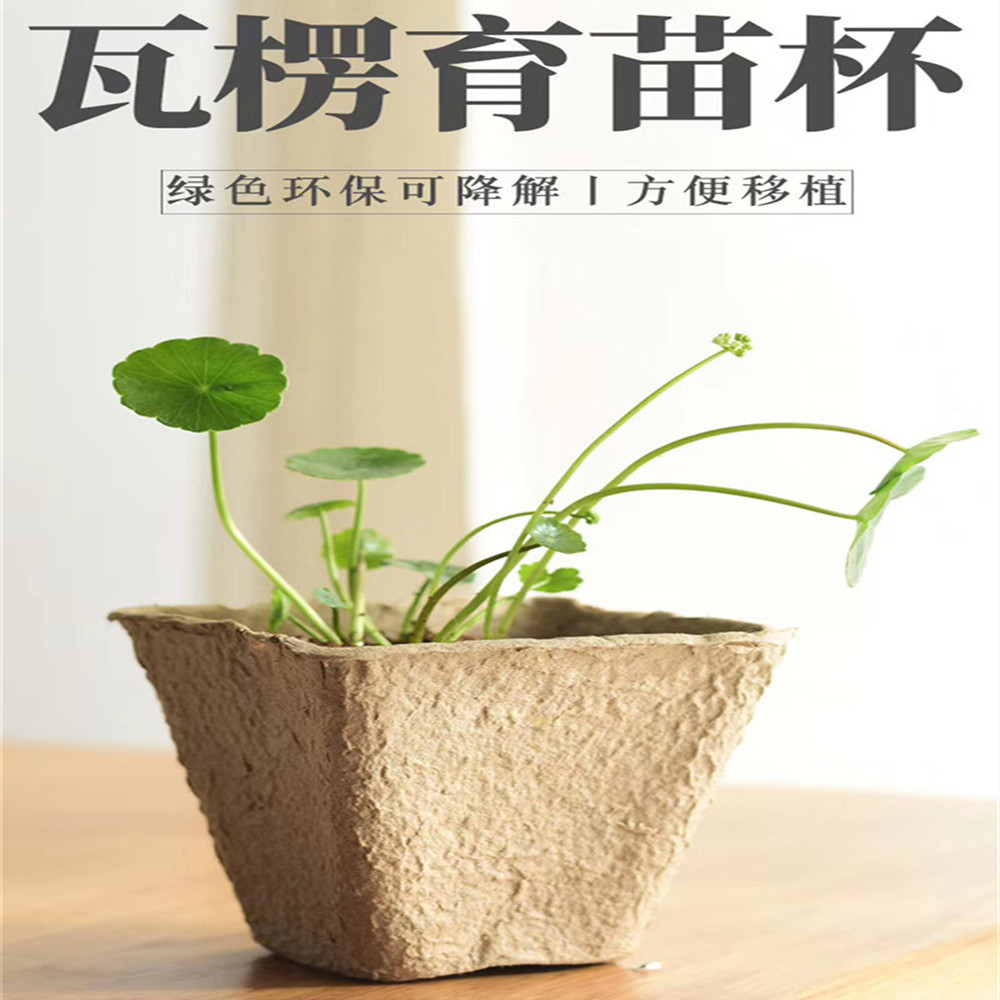 现货批发纸花盆育苗杯 纸浆花盆育苗盘 定做鸡蛋壳纸浆模塑工艺品