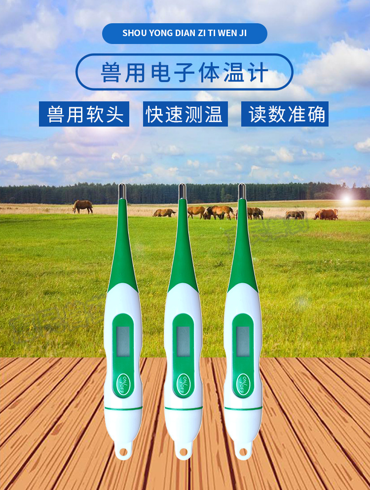 兽用电子体温计体温表猪牛羊测温计狗猫宠物软头温度计温度仪
