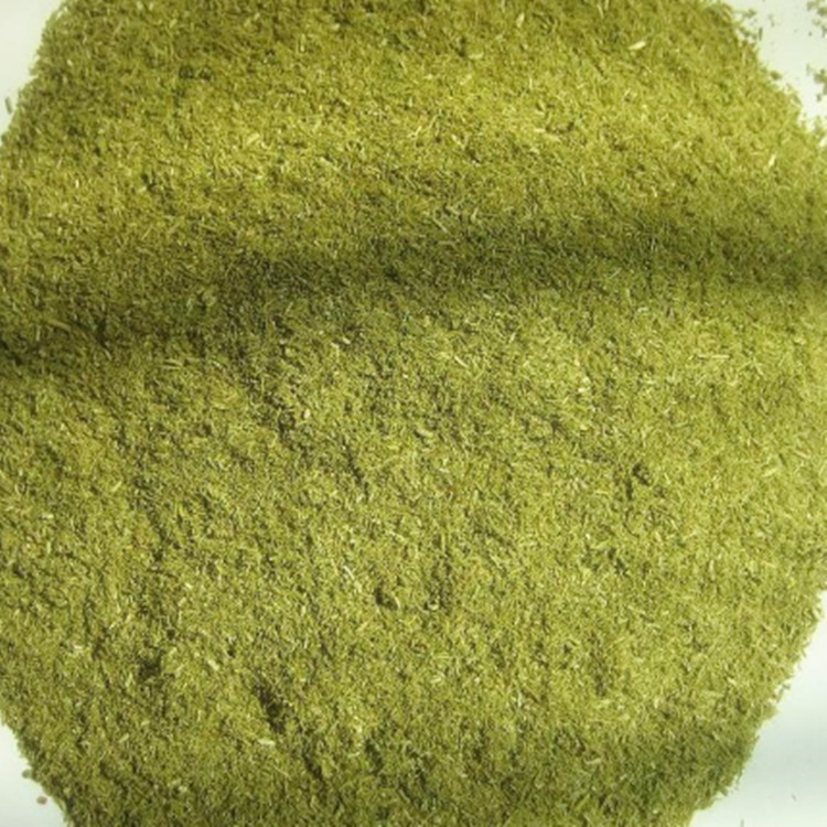 马尾松松针粉 饲料级 松针粉 零售批发 现货销售 欢迎选购