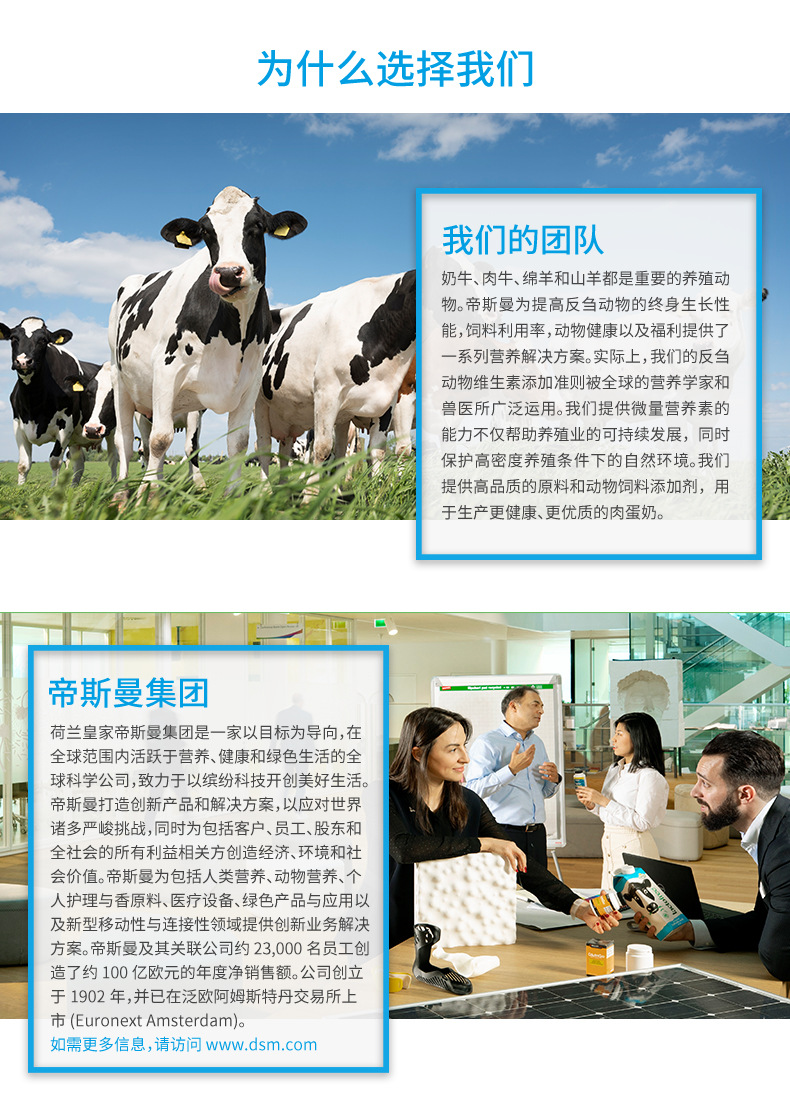 帝斯曼 dsm 反刍动物 奶牛肉牛 预混料 微量元素微营养 解决方案