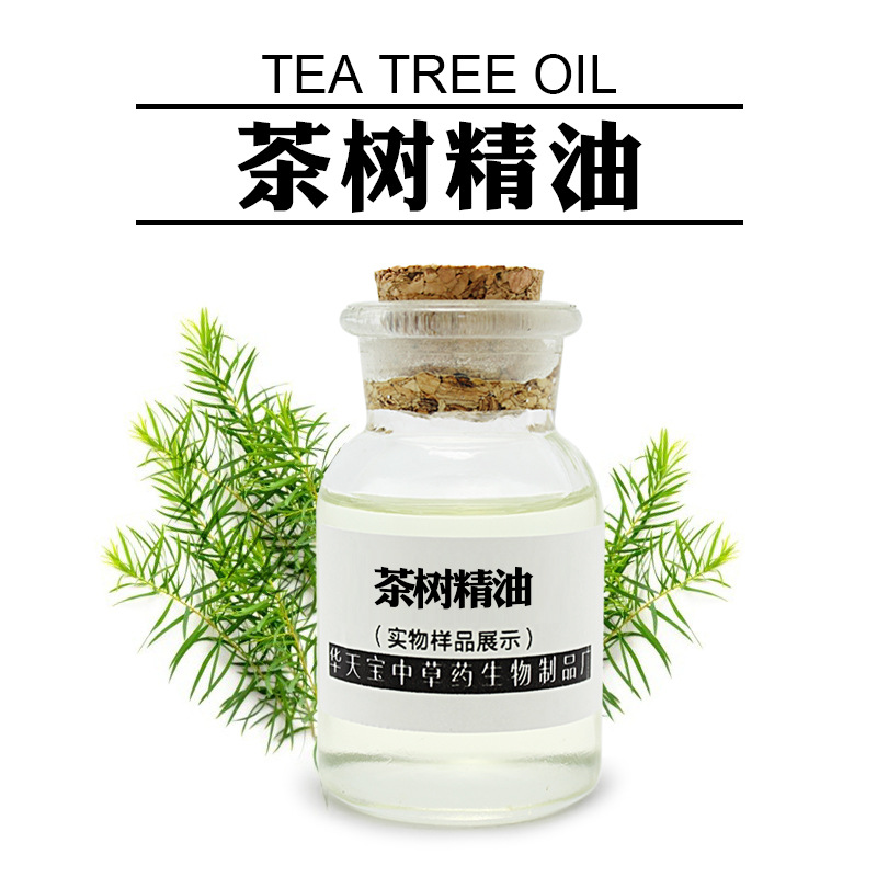 茶树油 1kg 澳洲茶树精油 互生叶白千层叶油 无勾兑 茶树单方精油