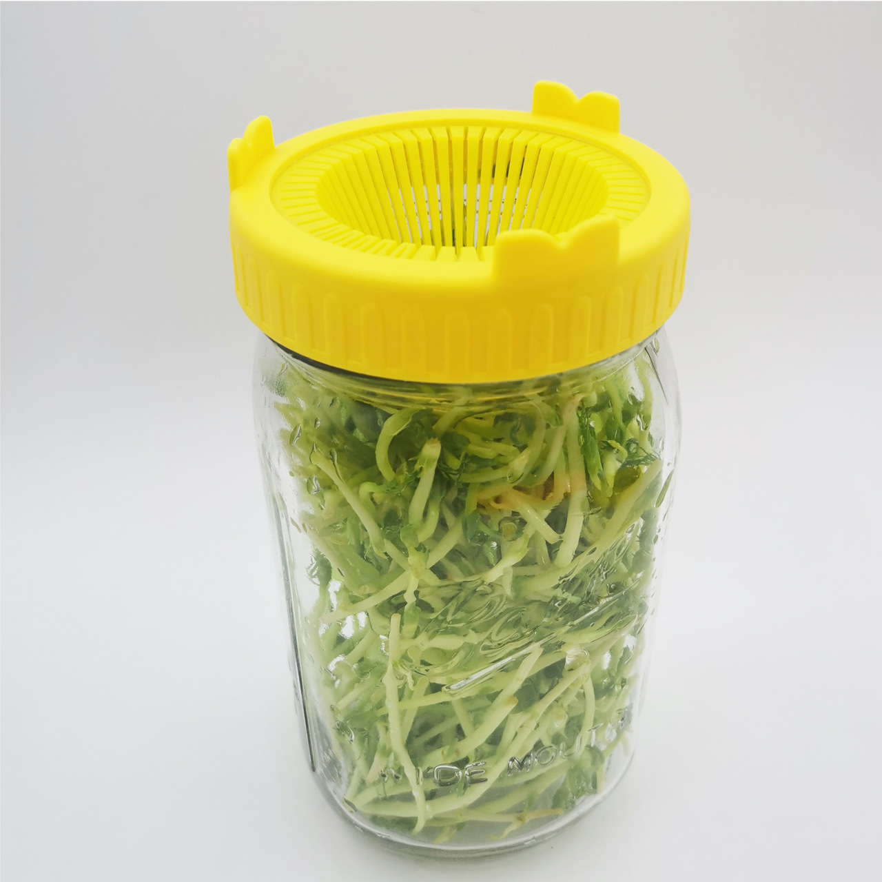 Mason Jar Germination Cover Wide Mouth Split Cover Pp Food Grade Mason Cup Planting Cover Ball Mason Bottle Lid