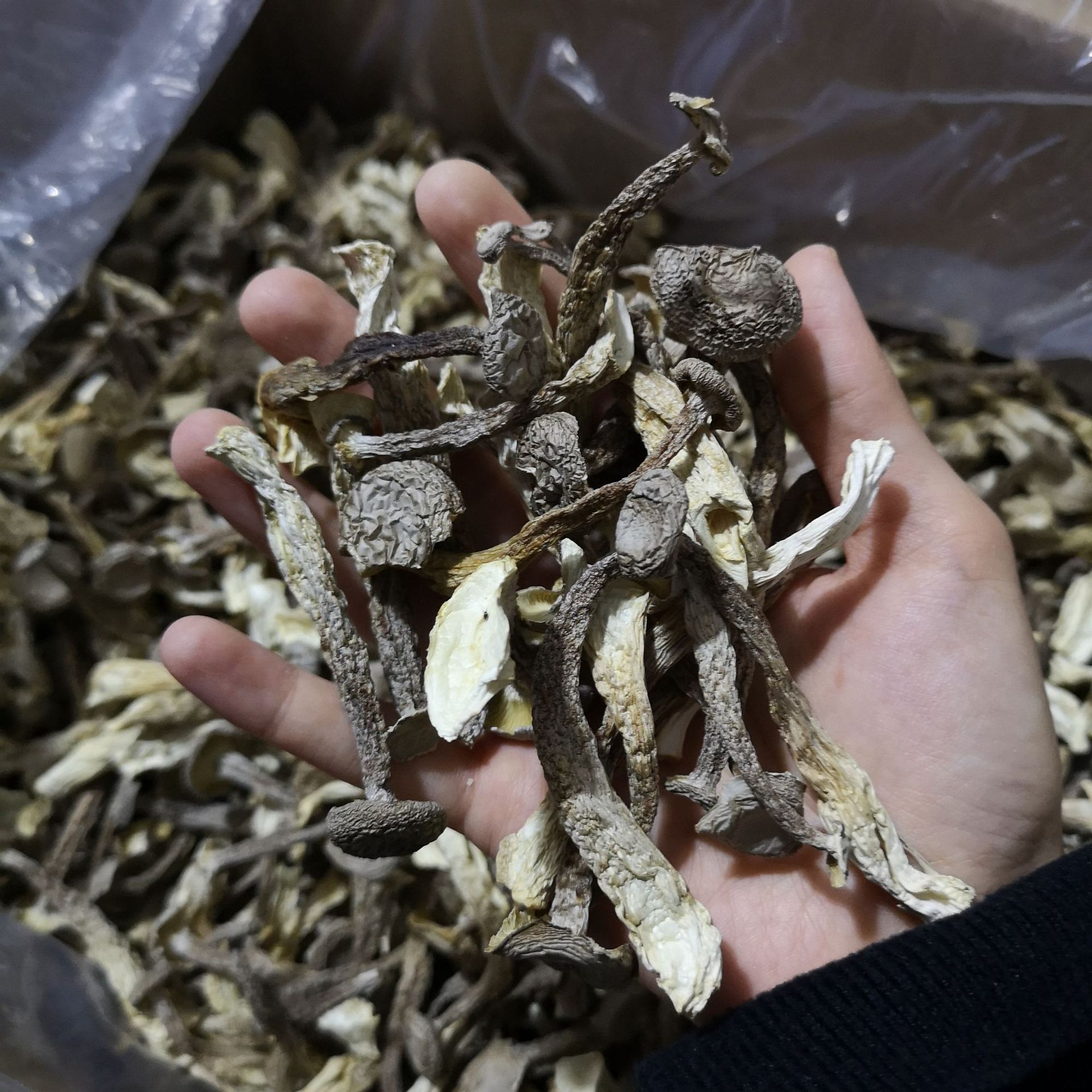 594367d8c1a1f3e8bdd60282b98140