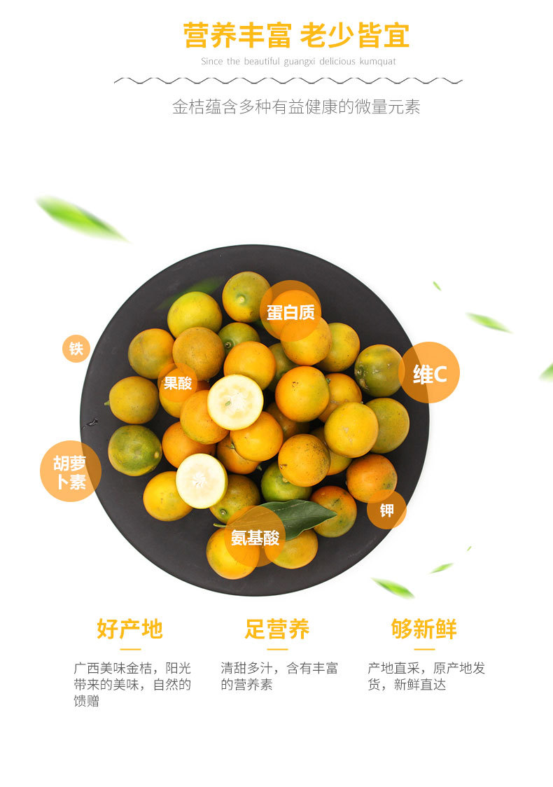 广西桂林滑皮金桔 当季桂林融安脆皮金桔 桂林阳朔金桔 一件代发