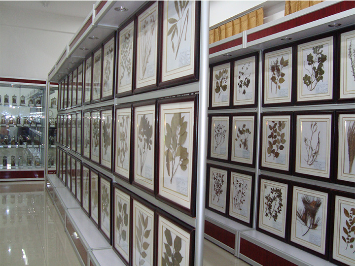 定制标本柜 昆虫标本陈列柜 铝木玻璃组合展柜动物标本储柜展示柜