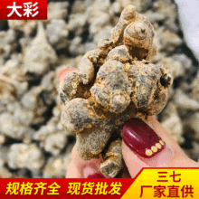 厂家供应三七批发云南田七文山三七头可磨三七粉500g