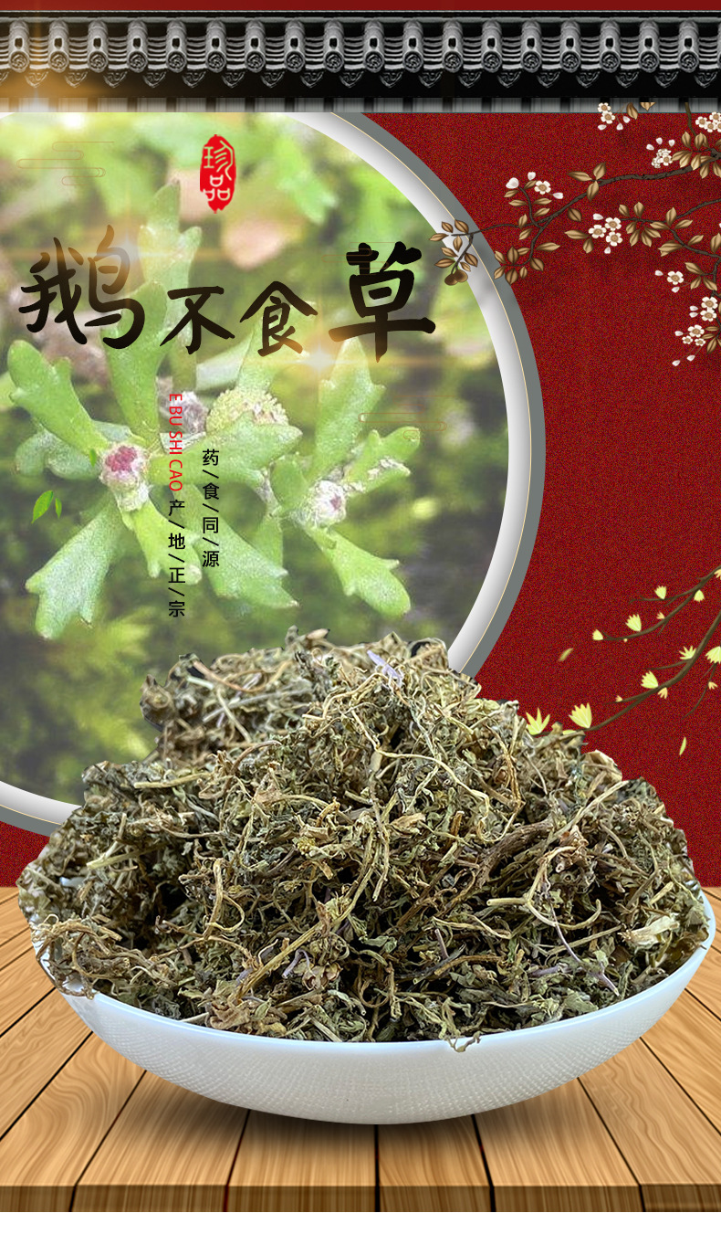 批发中草药 鹅不食草 鹅不食草粉新货无杂草全干大量现货一件代发