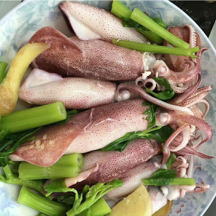 大鱿鱼新鲜冷冻海兔子小管带仔鱿鱼之家渔船捕捞新鲜发货