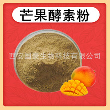 芒果酵素粉 芒果提取物 芒果粉 水溶芒果萃取粉 500克