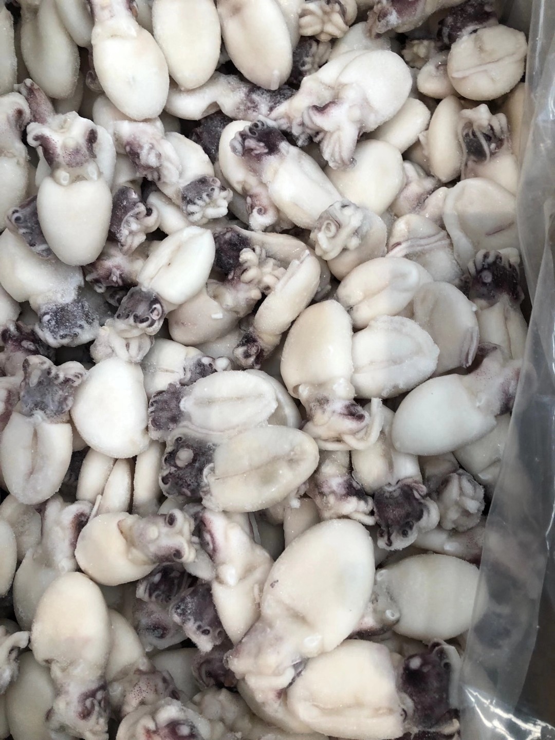 批发去脏冷冻墨鱼仔干冰熟冻2斤装 火锅食材夜市餐饮酒店外卖