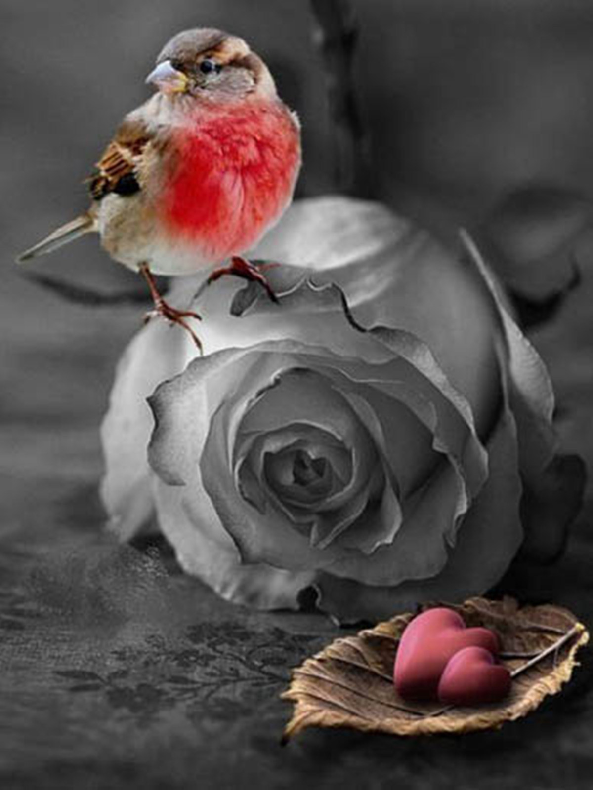 支持定制一件代发diy钻石绣圆钻满钻小鸟玫瑰花钻石画