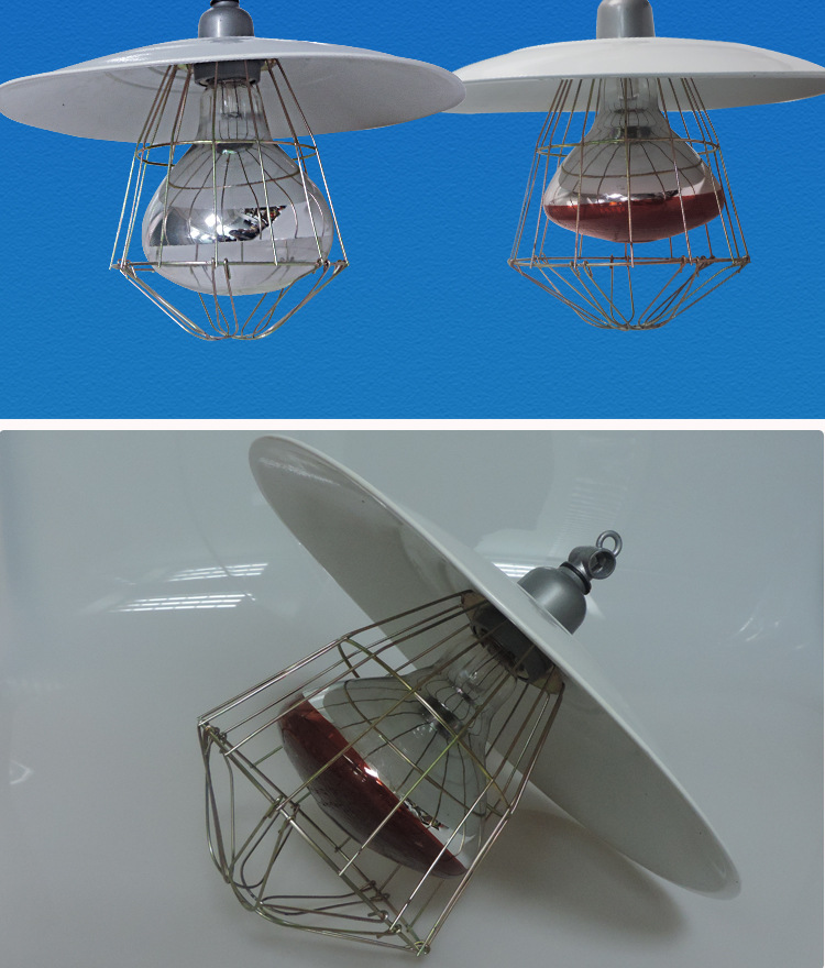 仔猪取暖保温灯罩金属灯盘网罩畜牧兽用保温灯陶瓷灯口保温灯套装