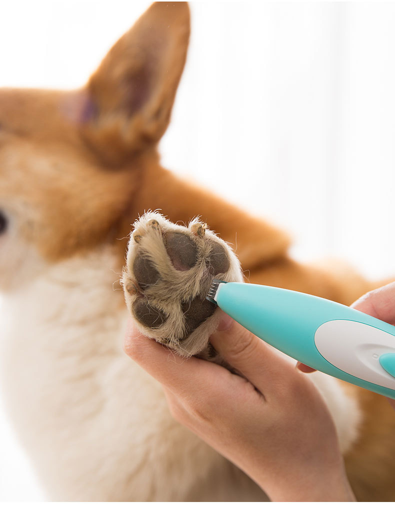 猫咪剃脚毛器修脚掌神器剃泰迪电动推子理发修毛剪脚毛宠物电推剪