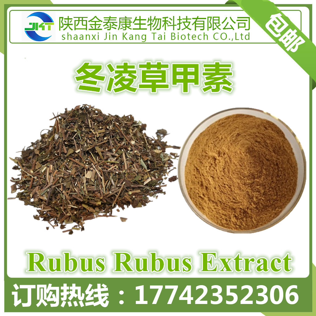 冬凌草提取物冬凌草甲素0515多种规格延命草宁oridonin